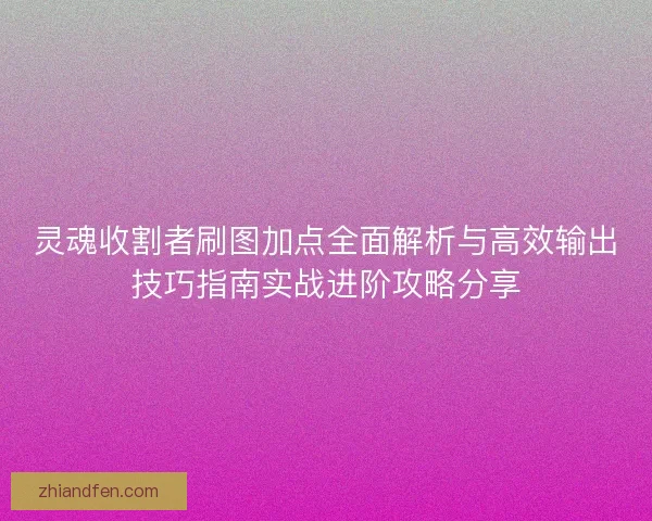 灵魂收割者刷图加点全面解析与高效输出技巧指南实战进阶攻略分享